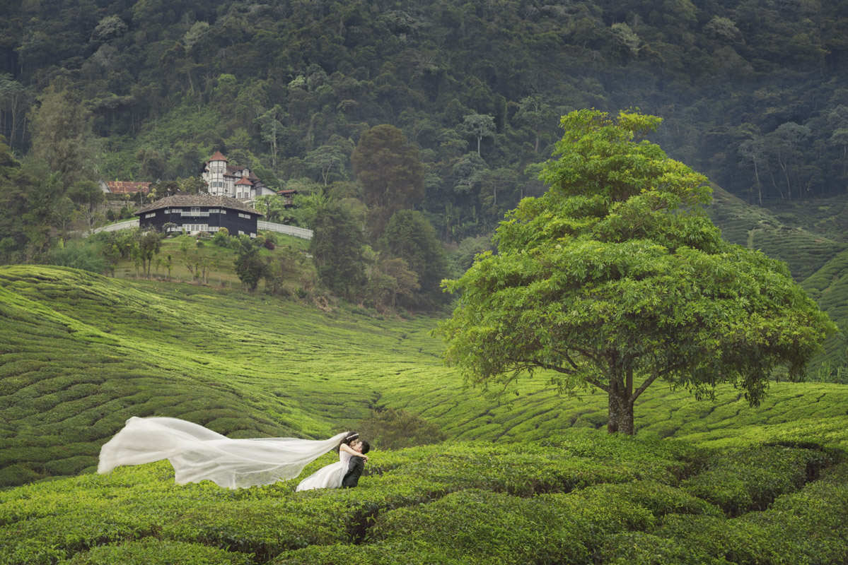 Evan&Jing Wedding Photography